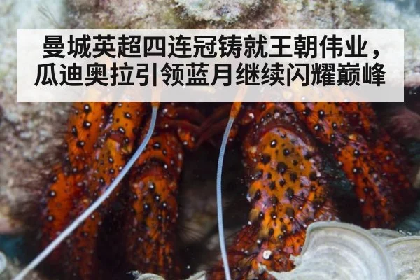 曼城英超四连冠铸就王朝伟业，瓜迪奥拉引领蓝月继续闪耀巅峰